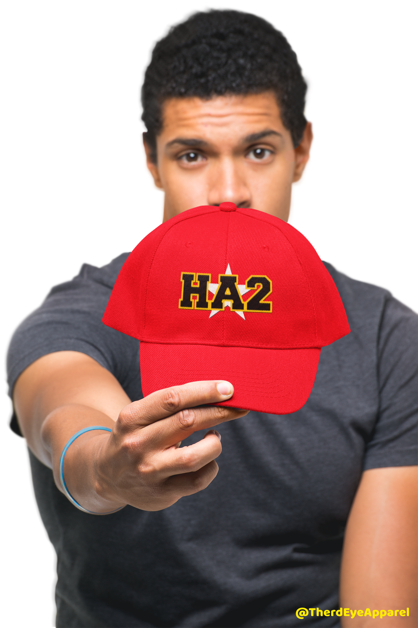HA2 Star Dad Hat